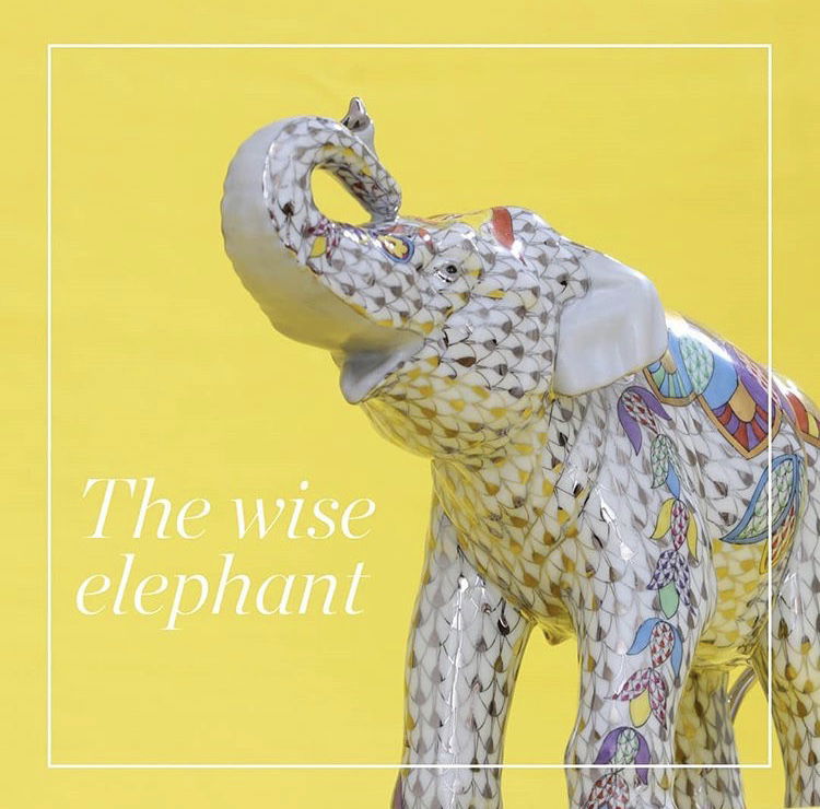 The Wise Elephant